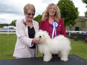 Lotties first Best of Breed at a championship show
