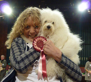 Lottie Best of Breed at Blackpool & Fylde