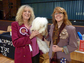 <b>Lottie after winning Reserve Best in Show at the Blackpool & Fylde toy dog show 2010</b>