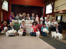 <b>Exhibitors at the British Bolognese club show, April 2011</b>