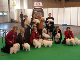 <b>Some of the Crufts exhibitors 2011</b>