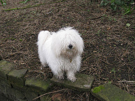 <b>Muddy today innit Mum</b>