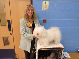 <b>Winning Reserve Best in show & Best Puppy in show at Merseyside toy dog show 2010</b>