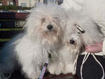 <b>Lottie & her friend Anya on a day by the seaside</b>