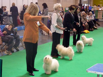 <b>Part of the post graduate line up from Crufts 2011</b>