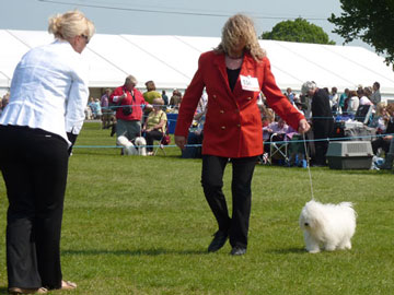 <b>Another photo taken at the WELKS show 2011</b>