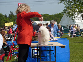 <b>Appearing at the WELKS show 2011</b>